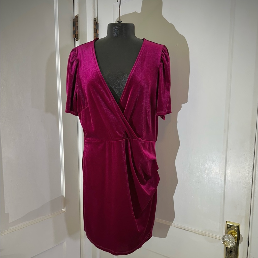 Wild Fable Burgundy Velvet Mini Dress